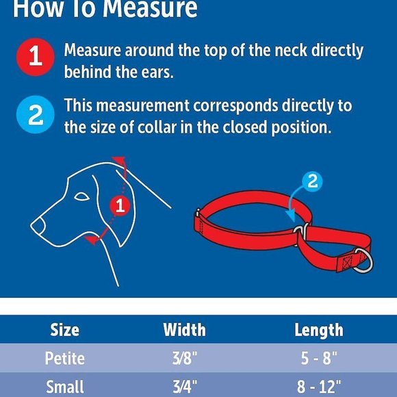 NWOT Nylon Martingale Dog Collar UNUSED - Picture 3 of 3